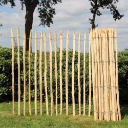 Frans kastanje schapenhek, hoogte 175 cm.