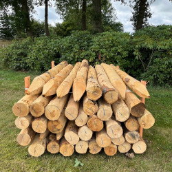 Kastanje paal Ø 12-14cm. diverse lengtes