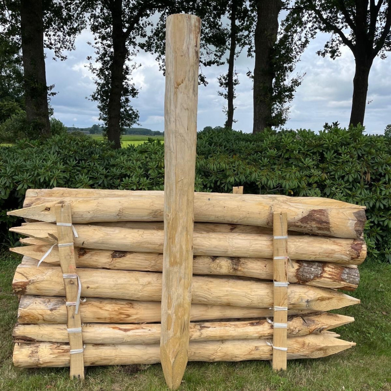 Kastanje paal Ø 14-16cm. diverse lengtes Kastanje paal Ø 14-16cm. diverse lengtes