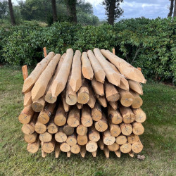 Kastanje paal Ø 10-12cm. diverse lengtes