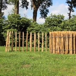 Frans kastanje schapenhek, hoogte 50cm.