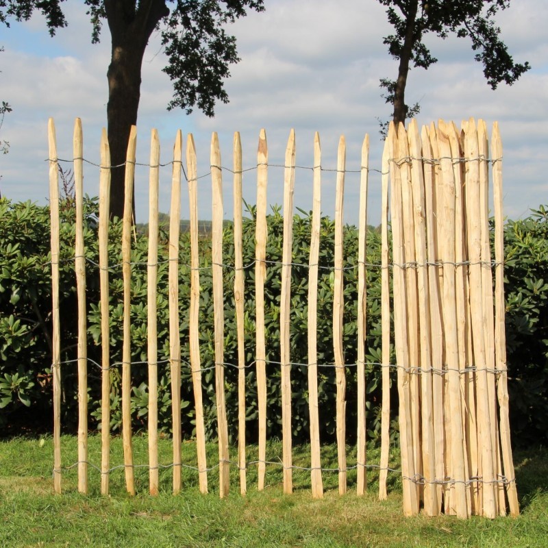 Frans kastanje schapenhek, hoogte 150 cm. Frans kastanje schapenhek, hoogte 150 cm.